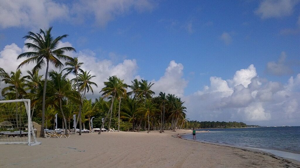 Palm-lined beach in Cap Cana